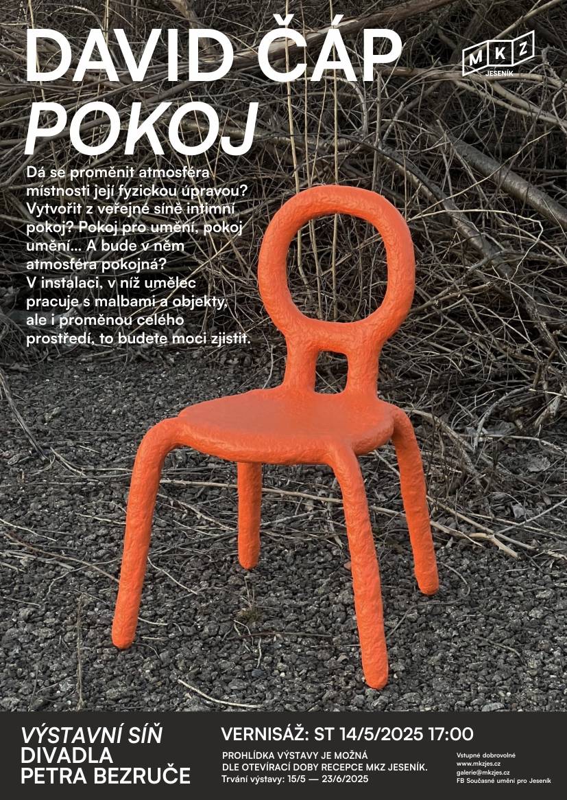 VERNISÁŽ VÝSTAVY DAVID ČÁP: POKOJ