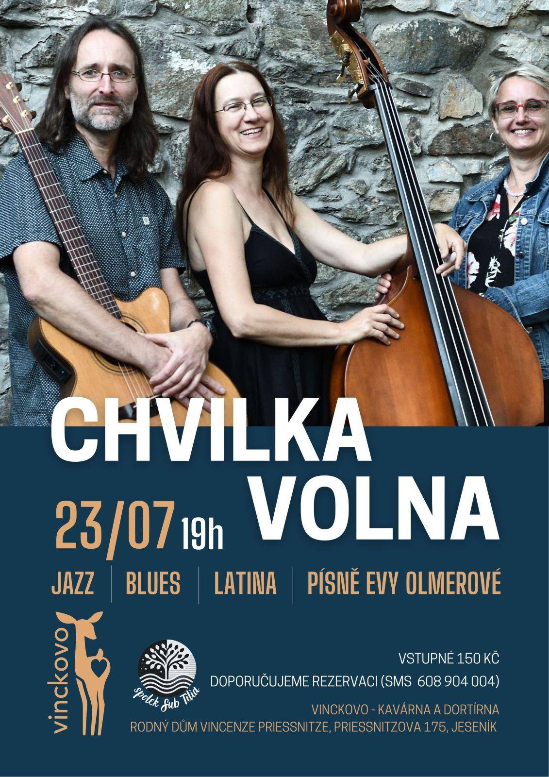 Chvilka volna