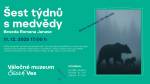 Šest týdnů s medvědy