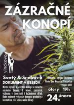 Beseda o léčbě konopím se Svatým a Sedláčkem