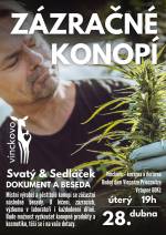 BESEDA O LÉČBĚ KONOPÍM SE SVATÝM SEDLÁČKEM