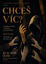 CHCEŠ VÍC?